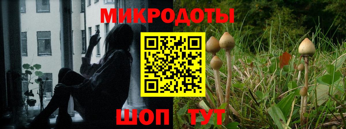 Псилоцибиновые грибы Cubensis  Галлюциногенные грибы Psilocybine cubensis  Корсаков  Вход с VPN 