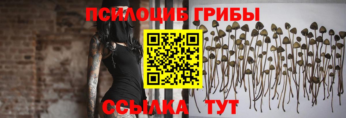 Псилоцибиновые грибы прущие грибы Корсаков